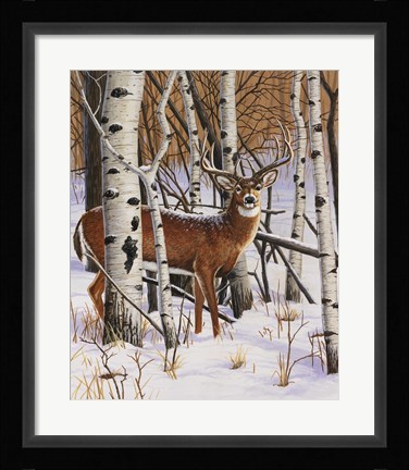 Framed On The Lookout Print