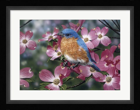 Framed Bluebird/Pink Dogwood Print