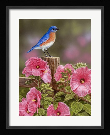 Framed Bluebird With Hibiscus Print