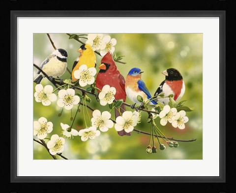 Framed Songbirds On a Flowering Branch Print