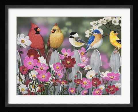 Framed Song Birds and Cosmos Print