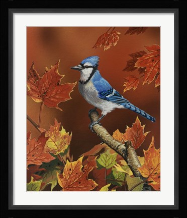 Framed Fall Colors Print