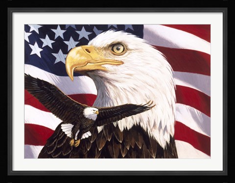 Framed Eagle And Flag Print