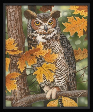 Framed Autumn Owl Print