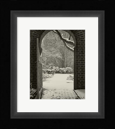 Framed Secret Garden Redux Print