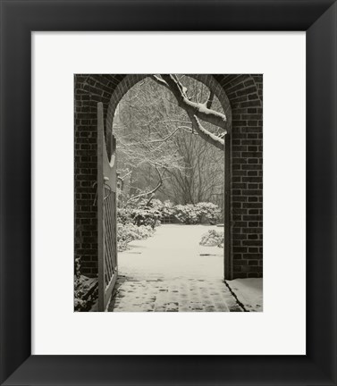 Framed Secret Garden Redux Print