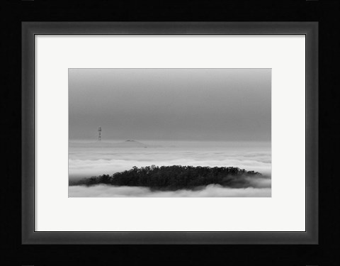 Framed Invasives Print