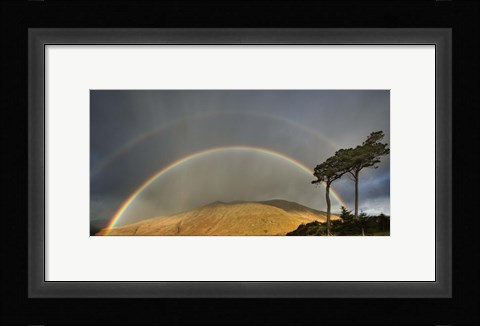 Framed Double Rainbow Print
