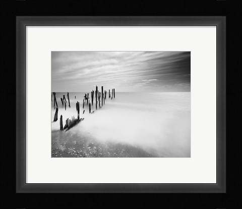 Framed Fortescue Print