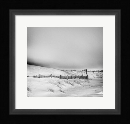 Framed Mock Turtle's Lament Monochrome Print