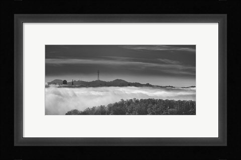 Framed Platinum Forest Print