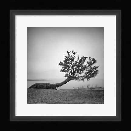 Framed Field and Stream Print