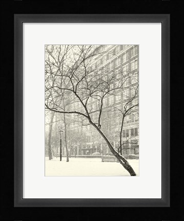 Framed Soft Parade Print