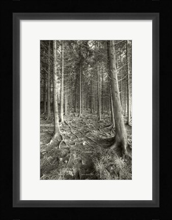 Framed Mnemonic Print