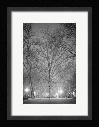 Framed Quaternary Age Print