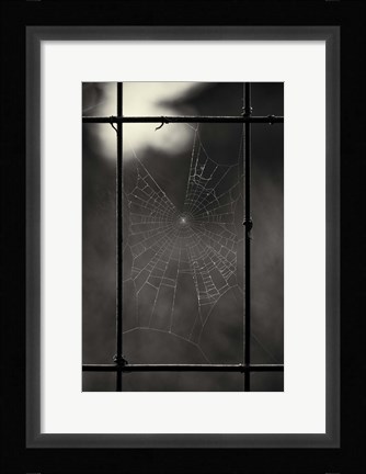 Framed Tinier Furniture Print