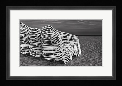 Framed Great Whites Print