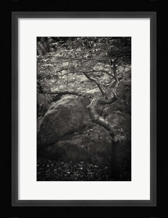 Framed en plein air Print