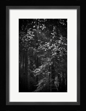 Framed Stage Fright Print