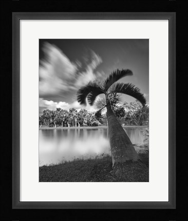 Framed Strange Oasis Print