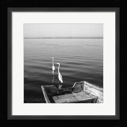 Framed 2 Herons Leaving Print