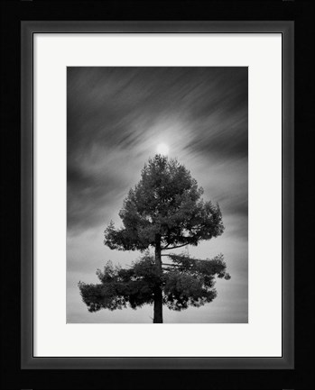 Framed Drama of the Gifted Child Print