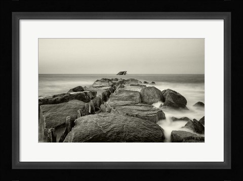 Framed Dentata Print