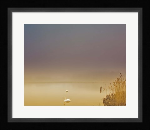 Framed Fog of Peace Print
