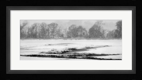 Framed Blizzard Print