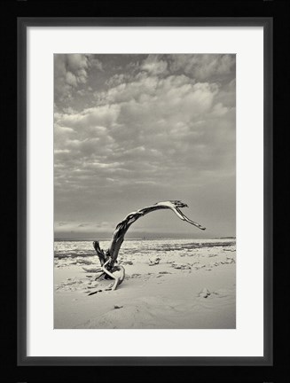 Framed Spice Box of Earth Print