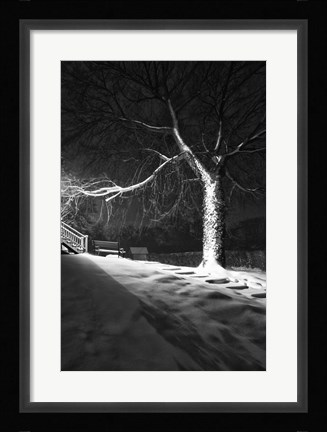 Framed Twelve Steps Print