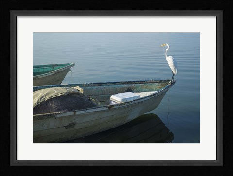 Framed Garzas-5-2 Print