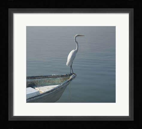 Framed Garzas-6-2 Print