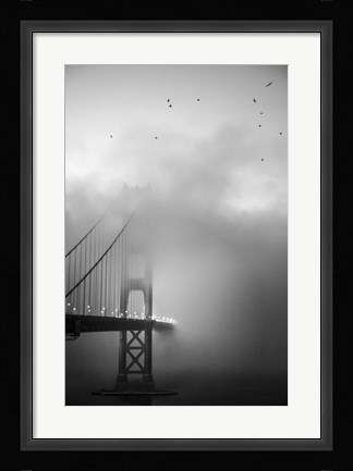 Framed Golden Gate and Birds Print