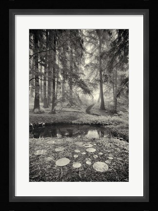 Framed Specular Echoes Print