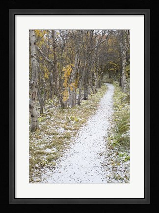Framed Snow Way 2 Print