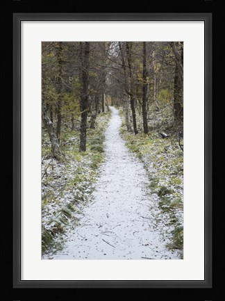 Framed Snow Way 4 Print