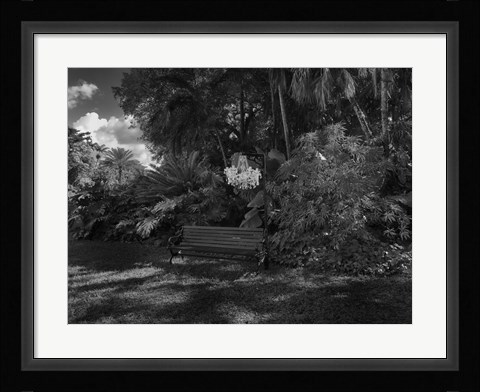 Framed Strictly Ballroom Print