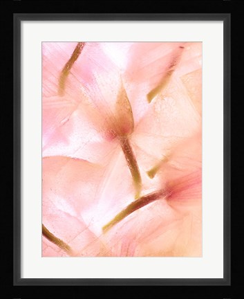 Framed Flores Congeladas 594 Print