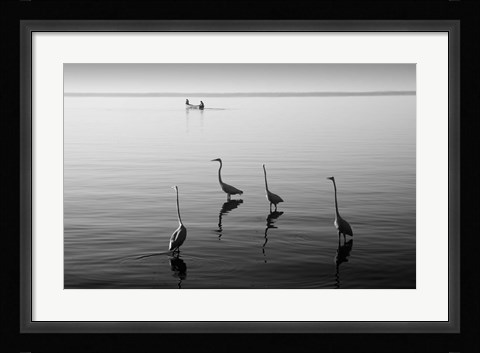 Framed 4 Heron and Boat Print
