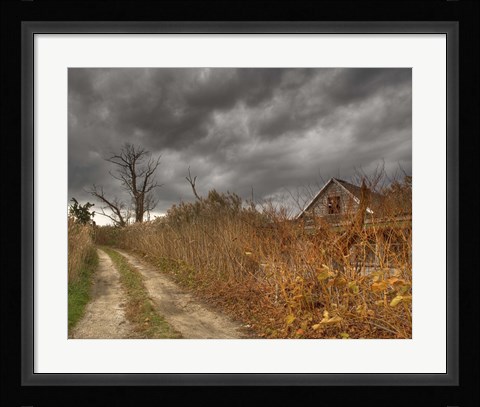 Framed Who Killed My Sister Print