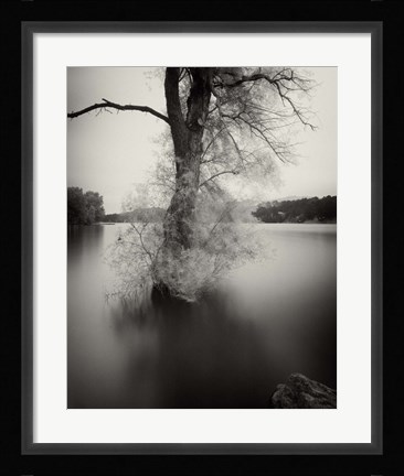 Framed Surfactant Print