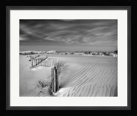 Framed Anglesea Moire I Print