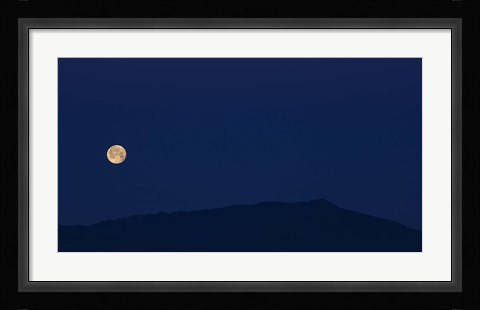 Framed Blue Too Print