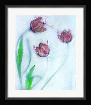 Framed Tulipanes Rojos Print