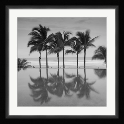 Framed 6 Palmeras Print