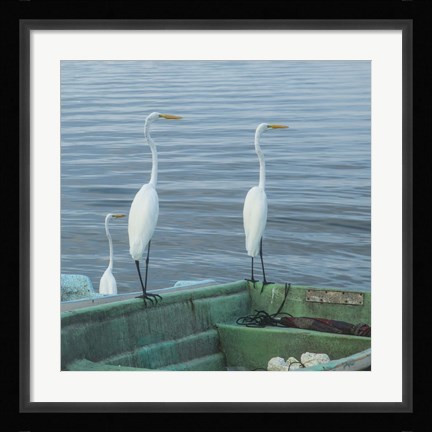 Framed Garzas-3-2 Print