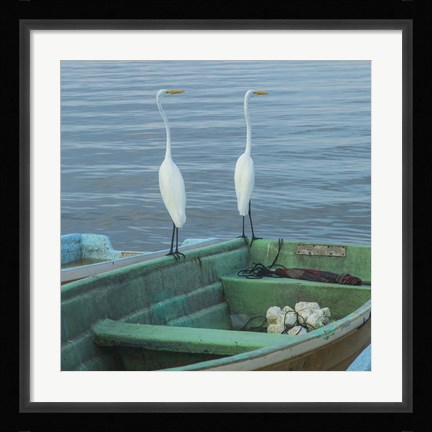 Framed Garzas-4-2 Print