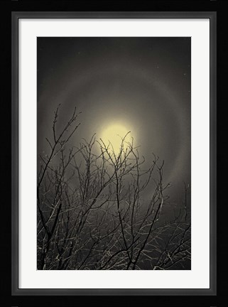 Framed Moon is the North Wind's Cookie Print