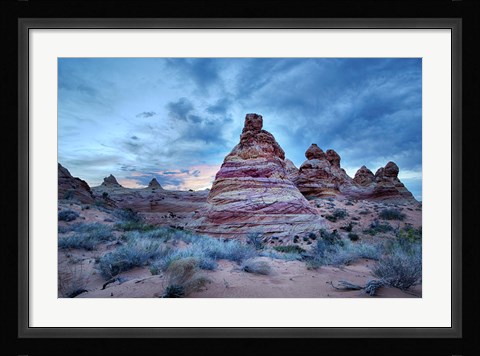 Framed Cottonwood I Print